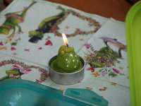 2015 Wein 062  mit Frosch-Ambiente